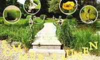 Sommer-Launen 2009 - Kunstausstellung im Grï¿½ntalpark. Auch dieses Jahr dï¿½rfen wir an der Ausstellung unsere neusten Kunstobjekte prï¿½sentieren...