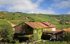 La Caraffa vertreibt in der Schweiz ausschliesslich die Weine und Grappe der Azienda Vitivinicola La Tufaia di Elisabetta Zehnder Castel Boglione sowie befreundeter Weinproduzenten aus der direkten Nachbarschaft des Weingutes.